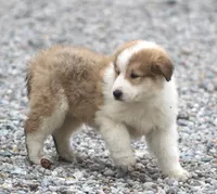 processed/8d476568-9207-449e-85af-b084af8219c3/listing/fbcd46b8-f1d0-4afd-831f-44408fbf7187/090b07cb-ac41-4685-99bb-a858ca0376e3