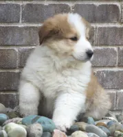 processed/8d476568-9207-449e-85af-b084af8219c3/listing/fbcd46b8-f1d0-4afd-831f-44408fbf7187/a02467c4-d15e-4a39-a914-dbdce65c92f3