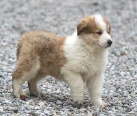 processed/8d476568-9207-449e-85af-b084af8219c3/listing/fbcd46b8-f1d0-4afd-831f-44408fbf7187/a957a596-d9b3-4f3b-bfef-246c2497de57