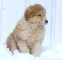 processed/8d476568-9207-449e-85af-b084af8219c3/listing/fced80f8-27b3-4db1-9bed-56a89f55c01c/200dbe4b-3c5a-4782-97f1-5c724418d2d4