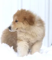 processed/8d476568-9207-449e-85af-b084af8219c3/listing/fced80f8-27b3-4db1-9bed-56a89f55c01c/229a8640-d74f-4476-9cf0-5f269aaf2459