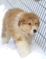 processed/8d476568-9207-449e-85af-b084af8219c3/listing/fced80f8-27b3-4db1-9bed-56a89f55c01c/b989f989-72c6-4972-b149-669f5746829b