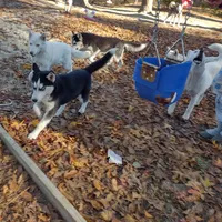 processed/8d4f910d-611d-44fc-9467-2bdede975f14/facility/3a182417-f42c-4ea0-943c-94c3bbbeb00d