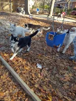 processed/8d4f910d-611d-44fc-9467-2bdede975f14/facility/3a182417-f42c-4ea0-943c-94c3bbbeb00d