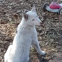 processed/8d4f910d-611d-44fc-9467-2bdede975f14/facility/45c5d8b7-ff9b-40df-bed6-69a9eadfc0ae