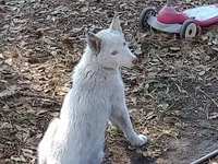 processed/8d4f910d-611d-44fc-9467-2bdede975f14/facility/45c5d8b7-ff9b-40df-bed6-69a9eadfc0ae