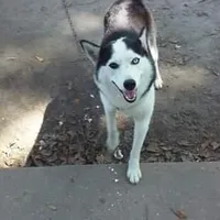 processed/8d4f910d-611d-44fc-9467-2bdede975f14/facility/6c2fca95-0017-494b-8fab-0394ce2a748f