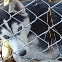 processed/8d4f910d-611d-44fc-9467-2bdede975f14/facility/8e237e19-1b76-454b-8b2f-3af47cc92cbb