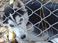 processed/8d4f910d-611d-44fc-9467-2bdede975f14/facility/8e237e19-1b76-454b-8b2f-3af47cc92cbb