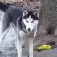 processed/8d4f910d-611d-44fc-9467-2bdede975f14/facility/a2609458-e747-47f2-b8db-50dabb108534