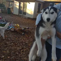 processed/8d4f910d-611d-44fc-9467-2bdede975f14/facility/ac946d36-7a25-42ef-874c-e4125e5ddf34