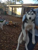 processed/8d4f910d-611d-44fc-9467-2bdede975f14/facility/ac946d36-7a25-42ef-874c-e4125e5ddf34