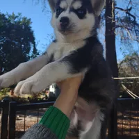 processed/8d4f910d-611d-44fc-9467-2bdede975f14/facility/b5e59893-a3ed-4a9a-8b39-c75803db604c