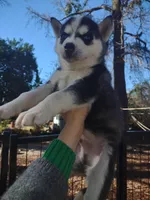 processed/8d4f910d-611d-44fc-9467-2bdede975f14/facility/b5e59893-a3ed-4a9a-8b39-c75803db604c