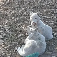 processed/8d4f910d-611d-44fc-9467-2bdede975f14/facility/c12d3486-9b26-4967-99da-fcd5d6e42744