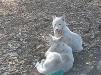 processed/8d4f910d-611d-44fc-9467-2bdede975f14/facility/c12d3486-9b26-4967-99da-fcd5d6e42744