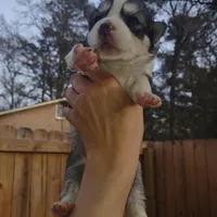 processed/8d4f910d-611d-44fc-9467-2bdede975f14/facility/db4967b1-4079-44ad-a4fc-842e81bd8a74