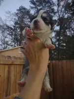 processed/8d4f910d-611d-44fc-9467-2bdede975f14/facility/db4967b1-4079-44ad-a4fc-842e81bd8a74