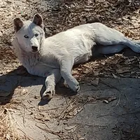 processed/8d4f910d-611d-44fc-9467-2bdede975f14/facility/ee91d4c8-aef6-4bec-b9fb-b0897678d809