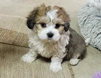 processed/8d51dd7e-9a0b-4c44-8f82-386143c8deb0/listing/357fd51b-dc72-45df-ad42-ca5c3526b668/62f0e648-0f6f-48fe-af8e-d9401b177fda