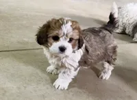 processed/8d51dd7e-9a0b-4c44-8f82-386143c8deb0/listing/357fd51b-dc72-45df-ad42-ca5c3526b668/8d851fa6-eaa1-43de-9a8f-91ae47c69263