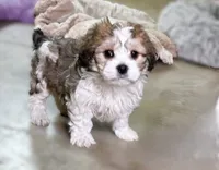 processed/8d51dd7e-9a0b-4c44-8f82-386143c8deb0/listing/357fd51b-dc72-45df-ad42-ca5c3526b668/a8bf36ba-952c-45d3-9290-5af600f2f36f