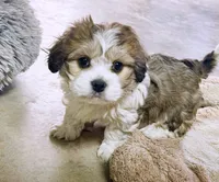 processed/8d51dd7e-9a0b-4c44-8f82-386143c8deb0/listing/357fd51b-dc72-45df-ad42-ca5c3526b668/dc3e4864-e21e-4162-81df-35bcb969079a