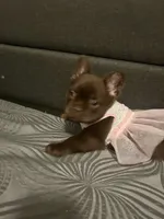 processed/8d58c887-1a41-49a3-bbb2-61e0e841e008/listing/393c0230-01bd-416f-9202-0437aec48b0c/0d749a7c-bfe3-4b9f-8e92-10a2469d7a19