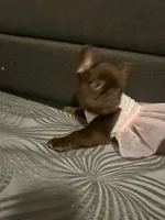 processed/8d58c887-1a41-49a3-bbb2-61e0e841e008/listing/393c0230-01bd-416f-9202-0437aec48b0c/7fcf3048-23c0-4c91-8185-61b12e6534d5