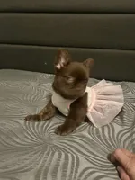 processed/8d58c887-1a41-49a3-bbb2-61e0e841e008/listing/393c0230-01bd-416f-9202-0437aec48b0c/b7bddde7-db02-4a7c-9202-72049eecbcc1