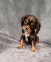 processed/8d5be5ea-1226-4bc8-80f9-817e31c245b0/listing/4c72887d-4a67-4337-8dc8-b0a49a6c765b/0982b0b9-404b-4366-9361-c7e309274587