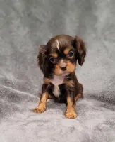 processed/8d5be5ea-1226-4bc8-80f9-817e31c245b0/listing/4c72887d-4a67-4337-8dc8-b0a49a6c765b/194d2c16-1d00-4012-a29e-a11fa5b7affb