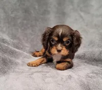 processed/8d5be5ea-1226-4bc8-80f9-817e31c245b0/listing/4c72887d-4a67-4337-8dc8-b0a49a6c765b/48fd8ef1-c1e2-4b40-9b0f-f51e13f52054