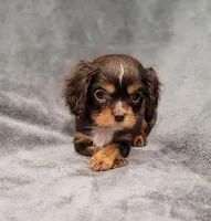 processed/8d5be5ea-1226-4bc8-80f9-817e31c245b0/listing/4c72887d-4a67-4337-8dc8-b0a49a6c765b/5059dd7a-edf8-4554-9c55-850629fb357a