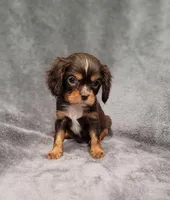 processed/8d5be5ea-1226-4bc8-80f9-817e31c245b0/listing/4c72887d-4a67-4337-8dc8-b0a49a6c765b/51c0ed20-6532-4584-ad59-e14b7821d7b2