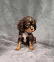 processed/8d5be5ea-1226-4bc8-80f9-817e31c245b0/listing/4c72887d-4a67-4337-8dc8-b0a49a6c765b/bcb68755-d19c-434f-b7c4-7ff9ede3aca5