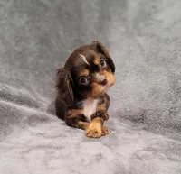 processed/8d5be5ea-1226-4bc8-80f9-817e31c245b0/listing/4c72887d-4a67-4337-8dc8-b0a49a6c765b/db85efc3-64f2-4117-9411-29247558edd1