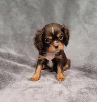 processed/8d5be5ea-1226-4bc8-80f9-817e31c245b0/listing/4c72887d-4a67-4337-8dc8-b0a49a6c765b/e799cdea-8f40-4170-91c5-d20c53d4823a