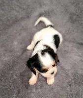 processed/8d5be5ea-1226-4bc8-80f9-817e31c245b0/listing/c5dcf63a-a98e-4f13-8be6-ba3fb935d665/ebfde7df-b975-410c-a091-b03444f8d401