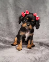 processed/8d5be5ea-1226-4bc8-80f9-817e31c245b0/listing/de7f08fd-1e18-4fdf-bc0d-696598c4ed90/2b20603a-b15c-4144-a523-6671903455be