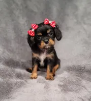 processed/8d5be5ea-1226-4bc8-80f9-817e31c245b0/listing/de7f08fd-1e18-4fdf-bc0d-696598c4ed90/2dac4625-7f04-4dab-9a8d-9f139d0766aa