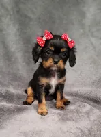 processed/8d5be5ea-1226-4bc8-80f9-817e31c245b0/listing/de7f08fd-1e18-4fdf-bc0d-696598c4ed90/3c62b62c-a522-4bd5-a4be-3b628411ceef