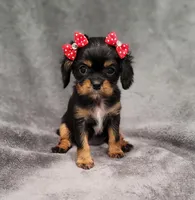 processed/8d5be5ea-1226-4bc8-80f9-817e31c245b0/listing/de7f08fd-1e18-4fdf-bc0d-696598c4ed90/580538e4-0f0e-47e2-b6ab-db618f003a63