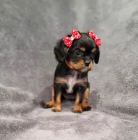 processed/8d5be5ea-1226-4bc8-80f9-817e31c245b0/listing/de7f08fd-1e18-4fdf-bc0d-696598c4ed90/b8801123-abb6-45ee-8f7b-bd77d0d03eff