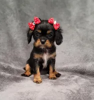 processed/8d5be5ea-1226-4bc8-80f9-817e31c245b0/listing/de7f08fd-1e18-4fdf-bc0d-696598c4ed90/d77bea16-d88d-4a0e-af3e-2633728ee61a