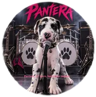 Pantera, a female Great Dane for sale in Surprise, AZ – 1 of 5