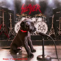 Slayer, a male Great Dane for sale in Surprise, AZ – 1 of 5
