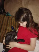 Moon pie, a female American Bully and American Pit Bull Terrier for sale in Scottsville, VA – Photo 1 of 4