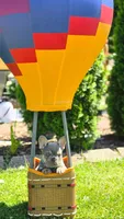 Lucky, a male French Bulldog for sale in Fennimore, WI – 4 of 5