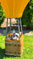 Charm, a male French Bulldog for sale in Fennimore, WI – 4 of 4
